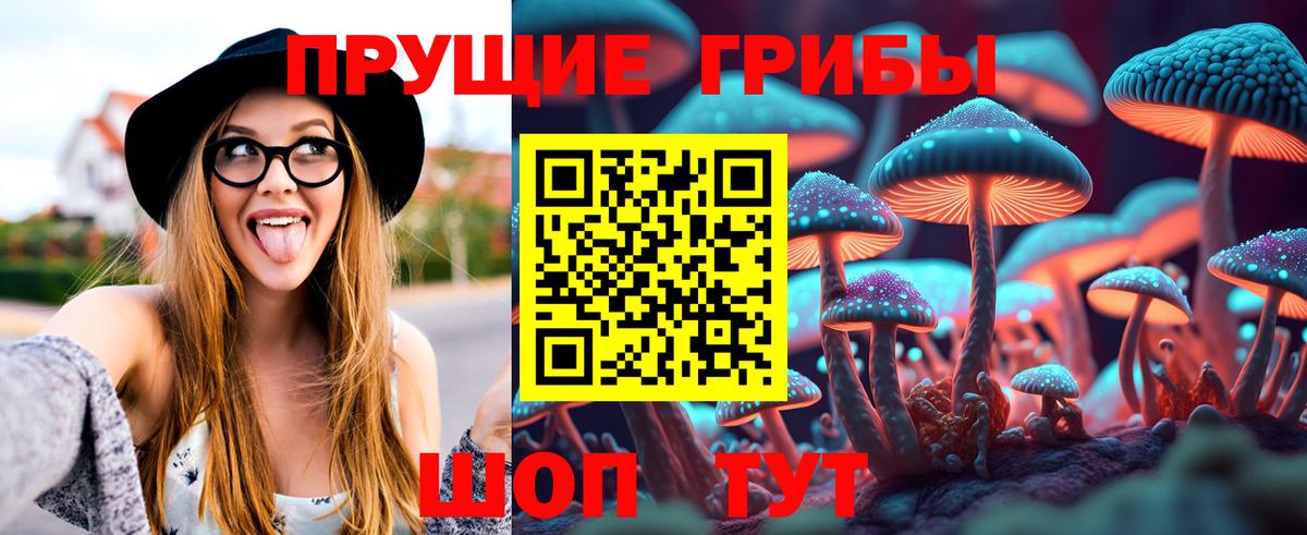 Псилоцибиновые грибы прущие грибы Елец