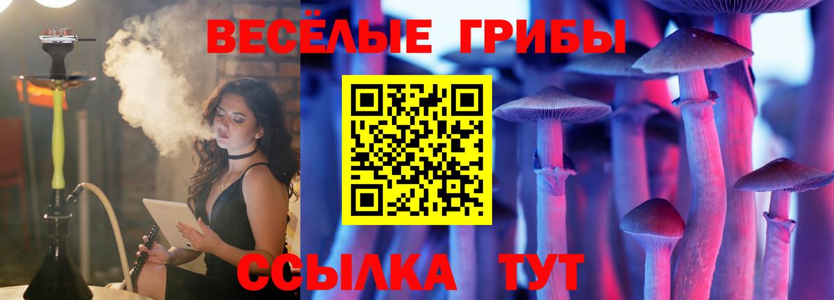 Галлюциногенные грибы мухоморы  Вход с VPN  Галлюциногенные грибы Magic Shrooms  Елец 
